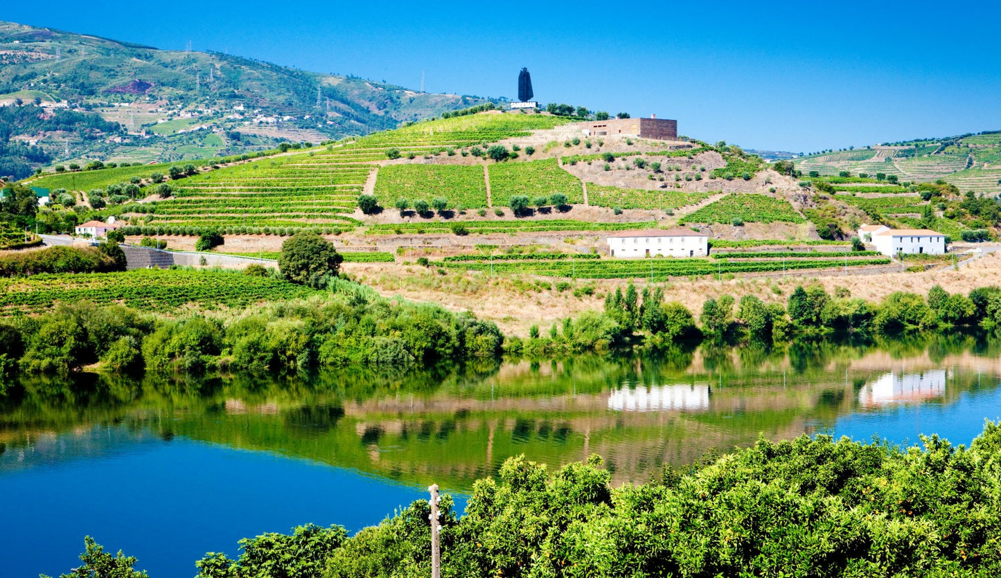 The Douro: Rail, River and Wine